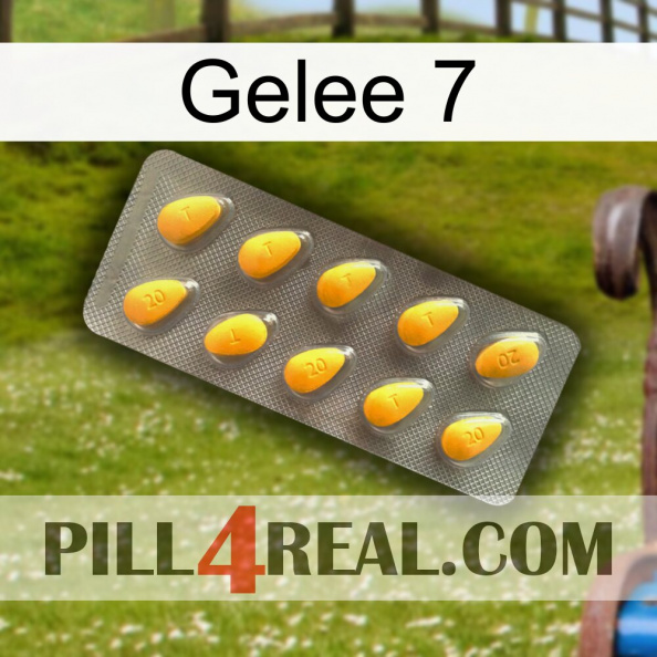 Jelly 7 cialis1